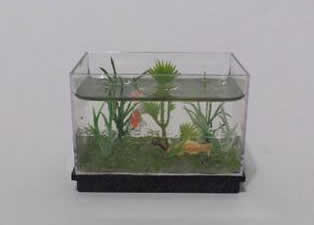 Miniature Aquarium