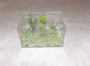 Miniature Aquarium