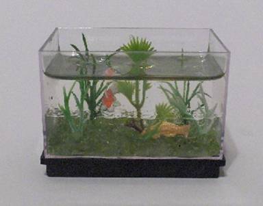 Miniature Aquarium