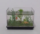 Miniature Aquarium