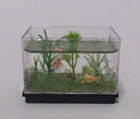 Miniature Aquarium
