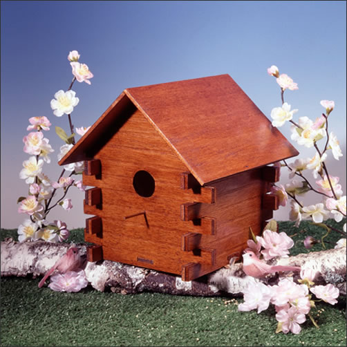 Birdhouse Kits